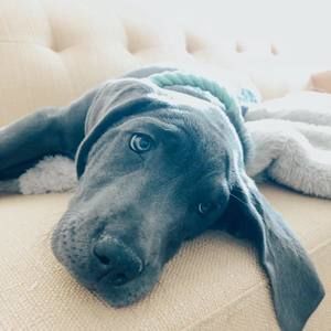 Meet your Posher, Nichole